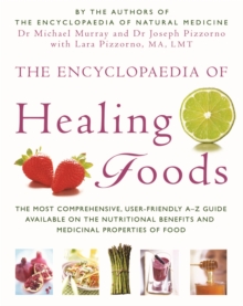 The Encyclopaedia of Healing Foods, Paperback Book The Encyclopaedia of Healing Foods, Paperback Book