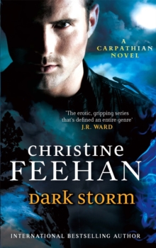 Dark Storm, Paperback Book Dark Storm, Paperback Book