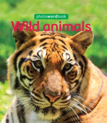 Wild Animals, Hardback Book Wild Animals, Hardback Book