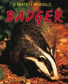 Badger, Paperback Book Badger, Paperback Book