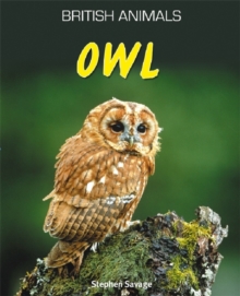 Owl, Paperback Book Owl, Paperback Book