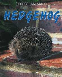 Hedgehog, Paperback Book Hedgehog, Paperback Book