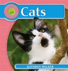 Cat, Paperback Book Cat, Paperback Book