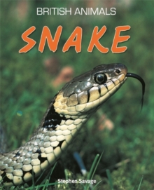 Snake, Paperback Book Snake, Paperback Book