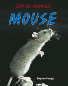 Mouse, Paperback Book Mouse, Paperback Book