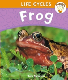 Frog, Paperback Book Frog, Paperback Book