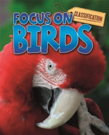 Birds, Paperback Book Birds, Paperback Book