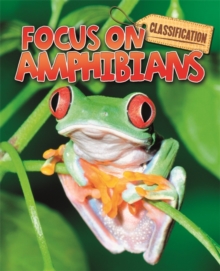 Amphibians, Paperback Book Amphibians, Paperback Book
