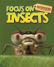 Insects, Paperback Insects, Paperback
