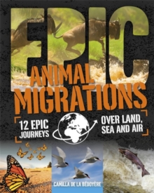 Animal Migrations, Hardback Book Animal Migrations, Hardback Book