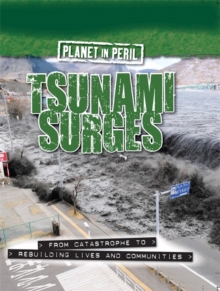 Tsunami Surges, Paperback Book Tsunami Surges, Paperback Book