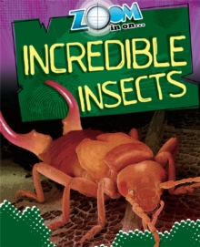 Incredible Insects, Paperback Book Incredible Insects, Paperback Book