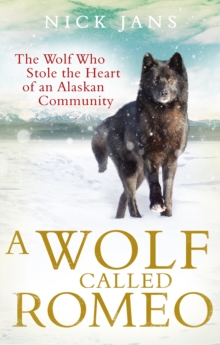 A Wolf Called Romeo, Paperback Book A Wolf Called Romeo, Paperback Book
