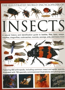 The Illustrated World Encyclopaedia of Insects : A Natural History and Identification Guide to Beetles, Flies, Bees Wasps, Springtails, Mayflies, Stoneflies, Dragonflies, Damselflies, Cockroaches, Man, Hardback Book The Illustrated World Encyclopaedia of Insects : A Natural History and Identification Guide to Beetles, Flies, Bees Wasps, Springtails, Mayflies, Stoneflies, Dragonflies, Damselflies, Cockroaches, Man, Hardback Book