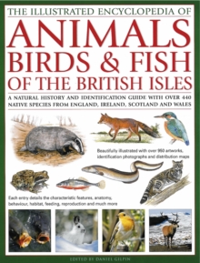 The Illustrated Encyclopedia of Animals, Birds & Fish of the British Isles : A Natural History and Identification Guide with Over 440 Native Species from England, Ireland, Scotland and Wales, Hardback Book The Illustrated Encyclopedia of Animals, Birds & Fish of the British Isles : A Natural History and Identification Guide with Over 440 Native Species from England, Ireland, Scotland and Wales, Hardback Book