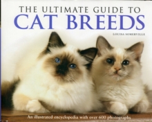 The Ultimate Guide to Cat Breeds : An Illustrated Encyclopedia with Over 600 Photographs, Hardback The Ultimate Guide to Cat Breeds : An Illustrated Encyclopedia with Over 600 Photographs, Hardback