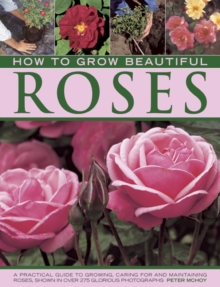 How to Grow Beautiful Roses : A Practical Guide to Growing, Caring for and Maintaining Roses, Shown in Over 275 Glorious Photographs, Hardback Book How to Grow Beautiful Roses : A Practical Guide to Growing, Caring for and Maintaining Roses, Shown in Over 275 Glorious Photographs, Hardback Book