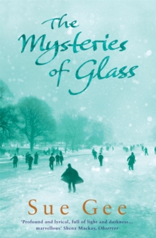 The Mysteries of Glass, Paperback The Mysteries of Glass, Paperback