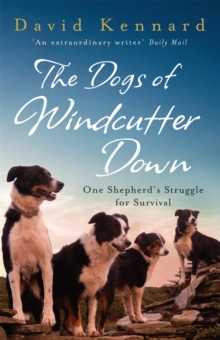 The Dogs of Windcutter Down : One Shepherd's Struggle for Survival, Paperback Book The Dogs of Windcutter Down : One Shepherd's Struggle for Survival, Paperback Book