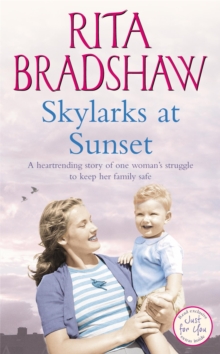 Skylarks at Sunset, Paperback Book Skylarks at Sunset, Paperback Book