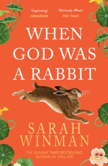 When God Was a Rabbit, Paperback Book When God Was a Rabbit, Paperback Book
