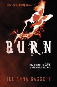 Burn, Paperback Book Burn, Paperback Book