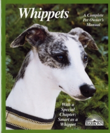 Whippets : Everything about Purchase, Care, Nutrition, Behavior, Training, and Exercising, Paperback Book Whippets : Everything about Purchase, Care, Nutrition, Behavior, Training, and Exercising, Paperback Book