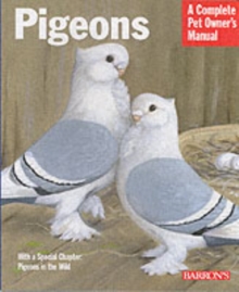 Pigeons, Paperback Book Pigeons, Paperback Book