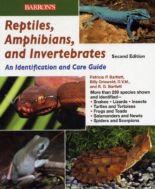 Reptiles, Amphibians and Invertebrates : An Identification and Care Guide, Paperback Book Reptiles, Amphibians and Invertebrates : An Identification and Care Guide, Paperback Book