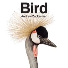 Bird, Hardback Book Bird, Hardback Book