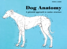 Dog Anatomy : A Pictorial Approach to Canine Structure, Paperback Book Dog Anatomy : A Pictorial Approach to Canine Structure, Paperback Book