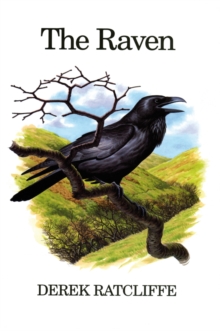 The Raven : A Natural History in Britain and Ireland, Hardback The Raven : A Natural History in Britain and Ireland, Hardback