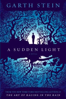 A Sudden Light, Hardback Book A Sudden Light, Hardback Book