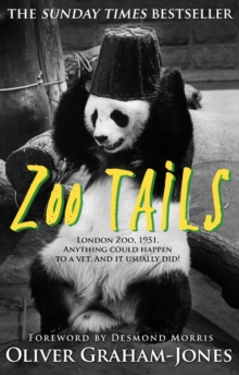 Zoo Tails, Paperback Zoo Tails, Paperback