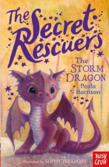 The Secret Rescuers: The Storm Dragon, Paperback Book The Secret Rescuers: The Storm Dragon, Paperback Book