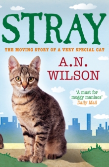 Stray, Paperback Stray, Paperback