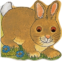 Pocket Bunny, Board book Book Pocket Bunny, Board book Book