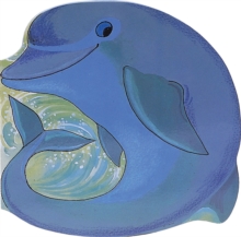 Pocket Dolphin, Board book Book Pocket Dolphin, Board book Book