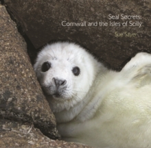 Seal Secrets : Cornwall and the Isles of Scilly, Paperback Book Seal Secrets : Cornwall and the Isles of Scilly, Paperback Book