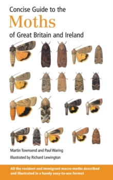 Concise Guide to the Moths of Great Britain and Ireland, Paperback Book Concise Guide to the Moths of Great Britain and Ireland, Paperback Book