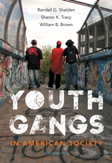 Youth Gangs in American Society, Paperback Book Youth Gangs in American Society, Paperback Book