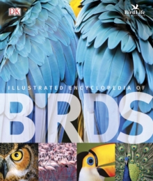 The Illustrated Encyclopedia of Birds, Hardback Book The Illustrated Encyclopedia of Birds, Hardback Book