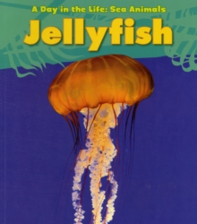 Jellyfish, Paperback Book Jellyfish, Paperback Book