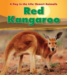 Red Kangaroo, Paperback Book Red Kangaroo, Paperback Book