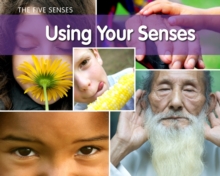 Using Your Senses?, Hardback Book Using Your Senses?, Hardback Book