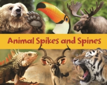 Animal Spikes & Spines, Paperback Book Animal Spikes & Spines, Paperback Book