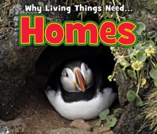 Homes, Hardback Book Homes, Hardback Book