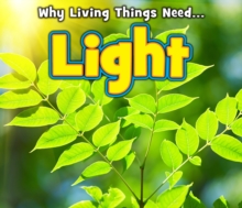 Light, Hardback Book Light, Hardback Book