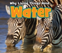 Water, Hardback Book Water, Hardback Book