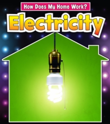 Electricity, Paperback Electricity, Paperback